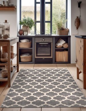 Dark Gray 2' x 3' 1 Trellis Rectangle Area Rug