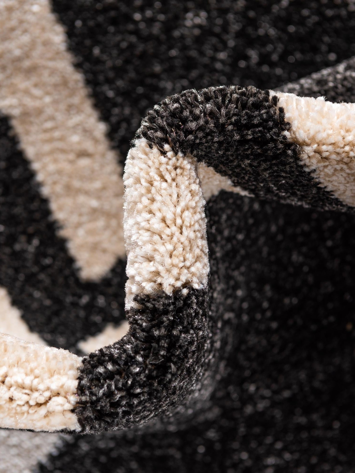 Black 3' 3 x 5' 3 Trellis Rectangle Area Rug