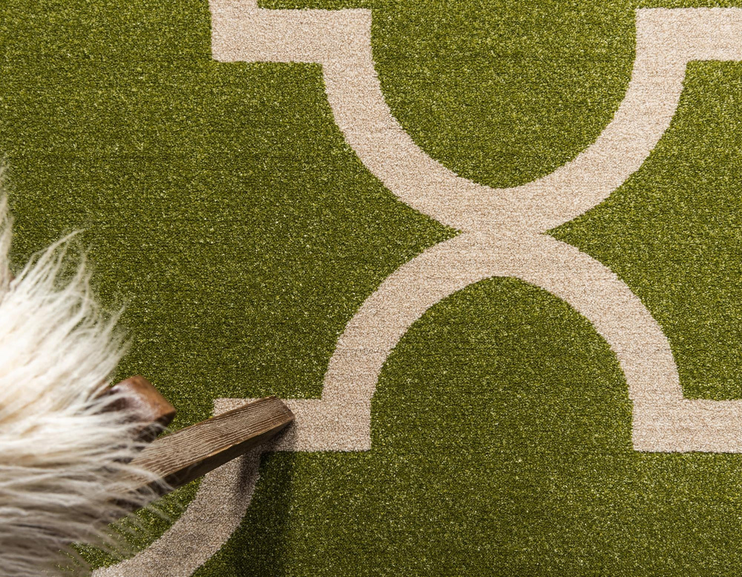 Green 3' 3 x 5' 3 Trellis Rectangle Area Rug