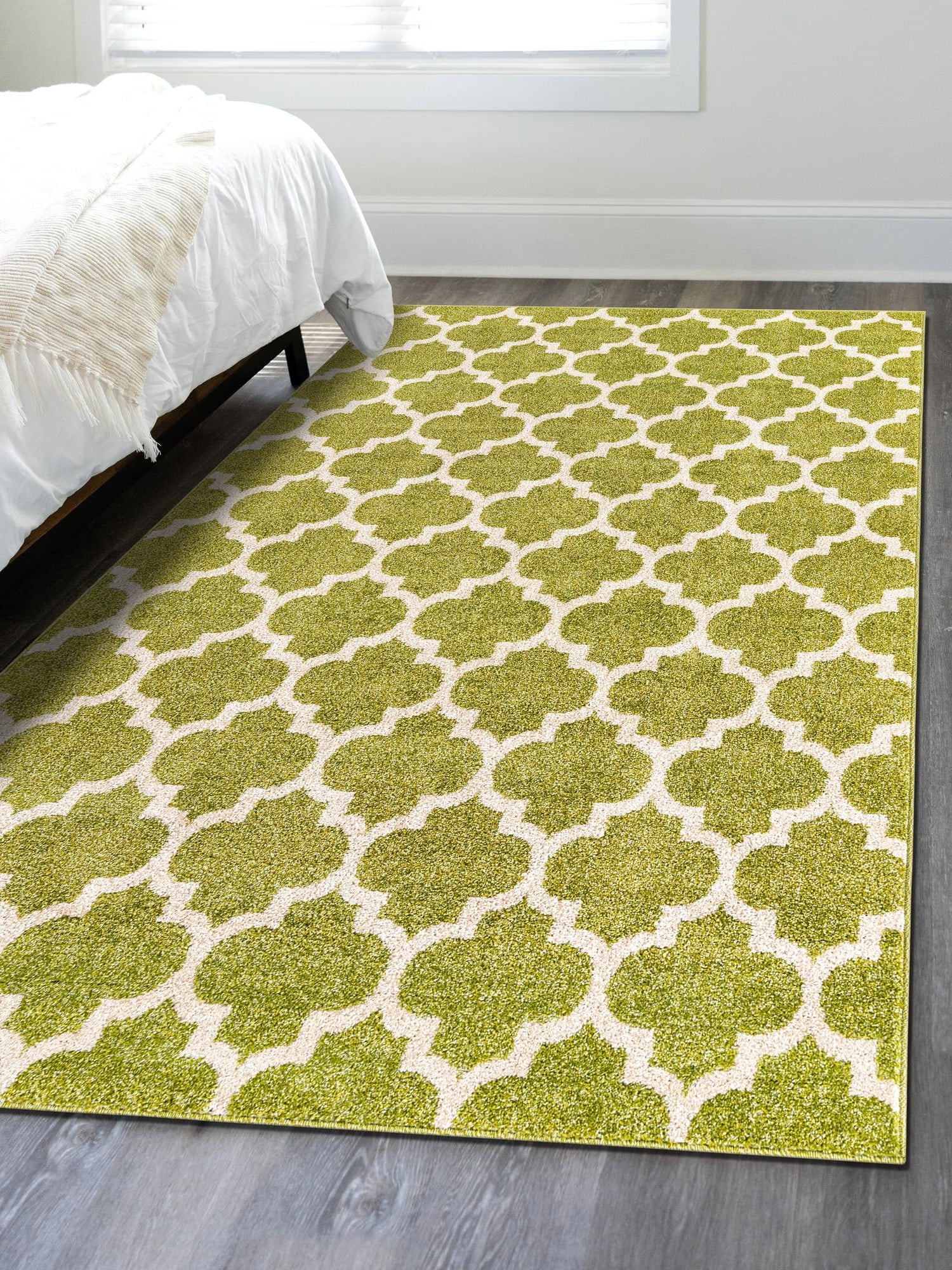 Light Green 2' x 3' 1 Trellis Rectangle Area Rug
