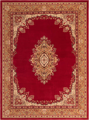 Burgundy 10' x 13' 1 Reza Rectangle Rug