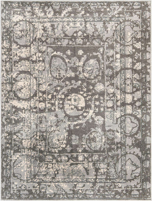Gray 9' x 12' La Jolla Rectangle Area Rug 100% Polypropylene Traditional Pattern Easy Clean Carpet for Living, Dining, Bedroom, Office for Sale at Rug Engine
