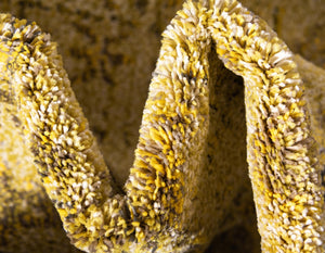 Beige 10' 6 x 16' 5 Medici Rectangle Area Rug 100% Polypropylene Traditional Vintage Classic Carpet for Home Interior Design Decor for Sale at Rug Engine