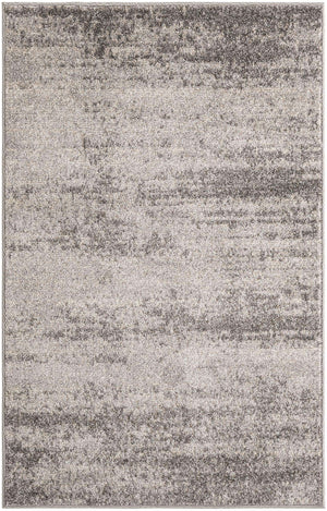 Gray 3' 3 x 5' 3 Del Mar Rectangle Rug