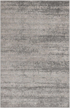 Gray 5' 3 x 8' Del Mar Rectangle Area Rug 100% Polypropylene Easy Clean Stain Resistant Vivid Modern Carpet Mat for Home Decor Interior Designing for Sale at Rug Engine