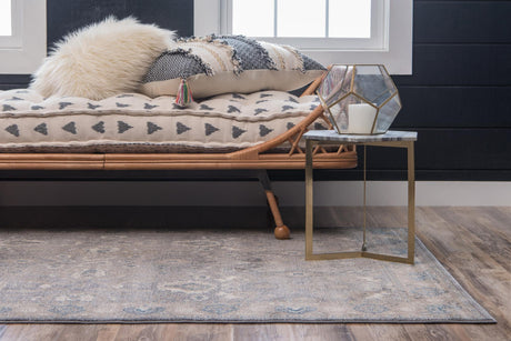 Gray 3' 3 x 5' 3 Salzburg Rectangle Area Rug