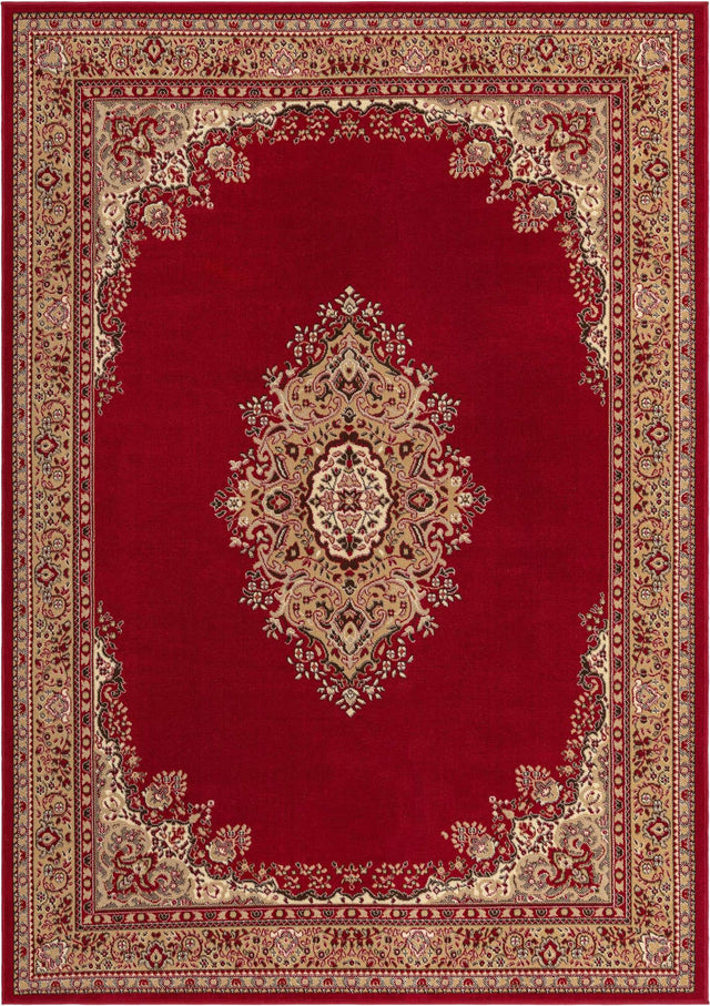 Burgundy 7' 1 x 10' Reza Rectangle Area Rug 100% Polypropylene Easy Clean Traditional Motif Classic Carpet for Home Interiors for Sale at Rug Engine