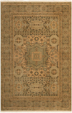 Light Green 6' 1 x 9' Palace Rectangle Area Rug