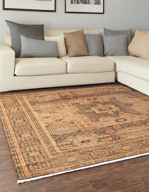 Brown 2' x 3' 1 Palace Rectangle Area Rug