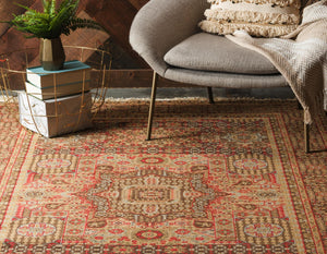 Brown 10' x 11' 4 Palace Rectangle Rug