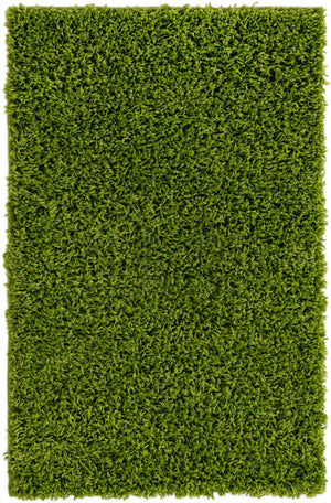 Grass Green 2' x 3' 1 Solid Shag Rectangle Area Rug Thick Soft Touch Fluffy & Plush Shaggy Pile