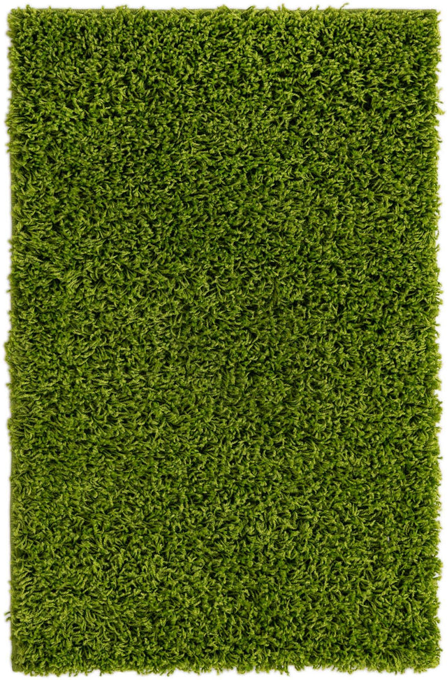 Grass Green 2' x 3' 1 Solid Shag Rectangle Area Rug Thick Soft Touch Fluffy & Plush Shaggy Pile