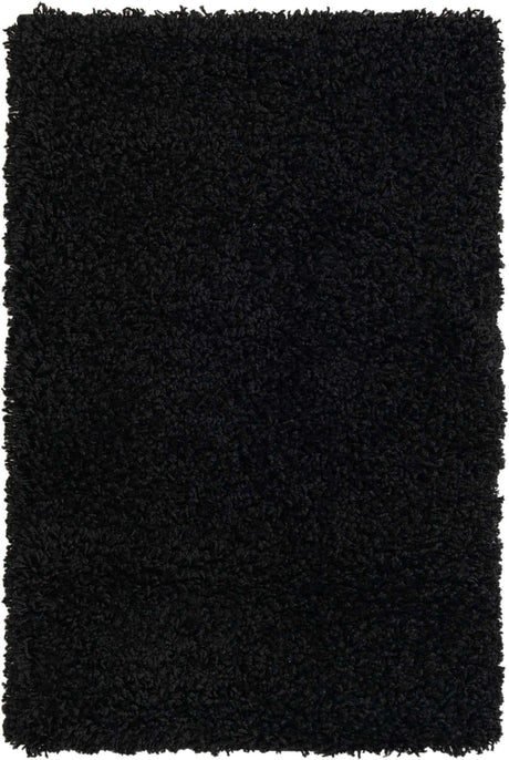 Jet Black 2' x 3' 1 Solid Shag Rectangle Rug