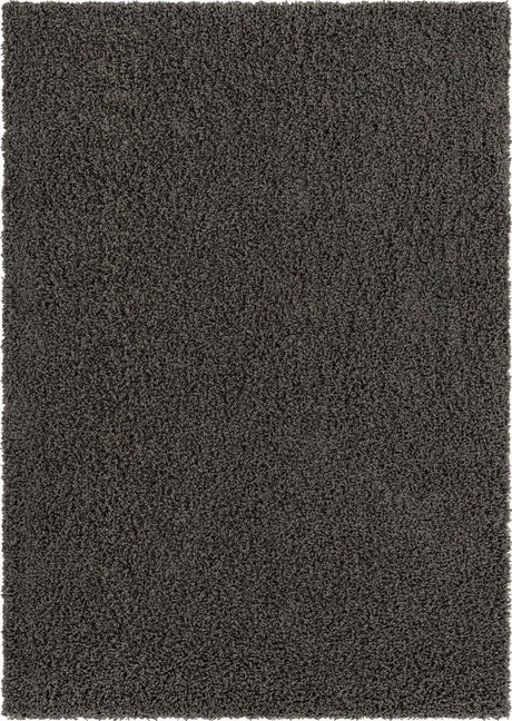 Graphite Gray 2' x 3' 1 Solid Shag Rectangle Area Rug Thick Soft Touch Fluffy & Plush Shaggy Pile