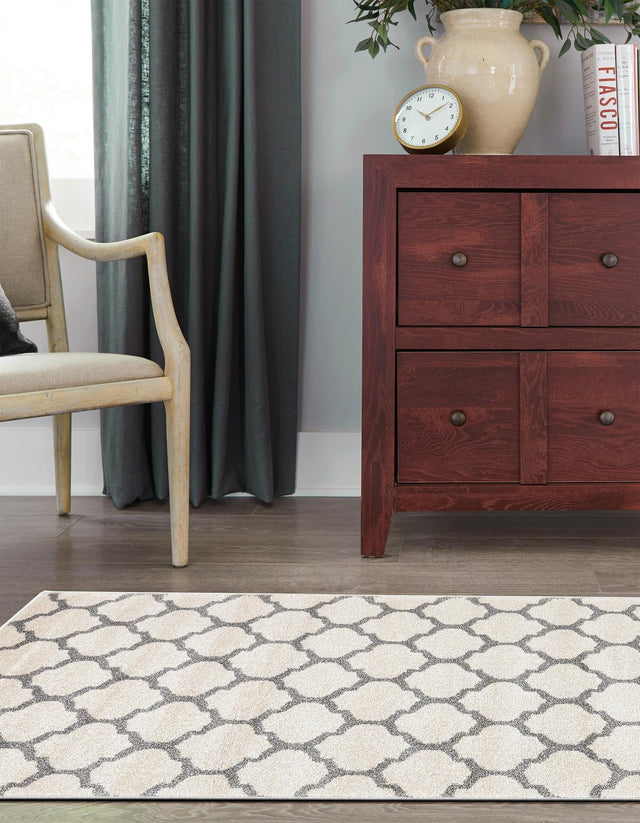 Beige and Gray 3' x 13' 1 Trellis Runner Rug