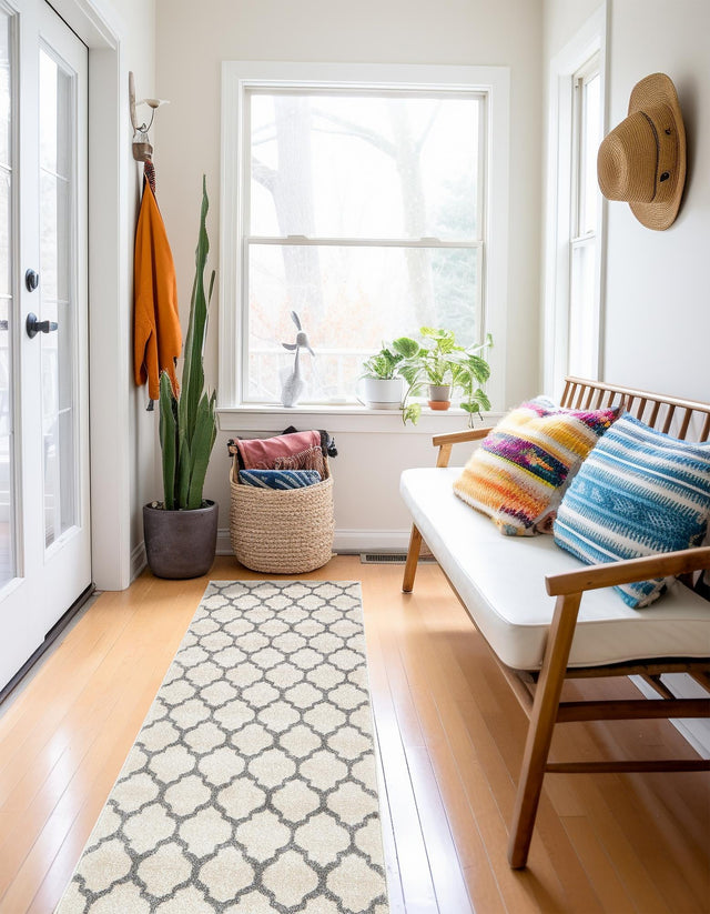 Beige and Gray 3' x 13' 1 Trellis Runner Rug