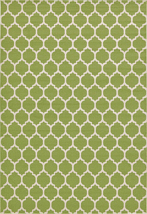 Light Green 4' 1 x 6' 1 Trellis Rectangle Rug