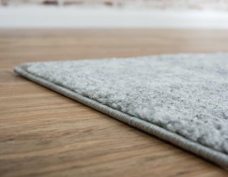 Silver 4' 1 x 6' 1 Tradition Rectangle Area Rug Traditional Classic Vintage Design Carpet for Living Room, Bedrooms, Dining, Office Space for Sale at Rug Engine