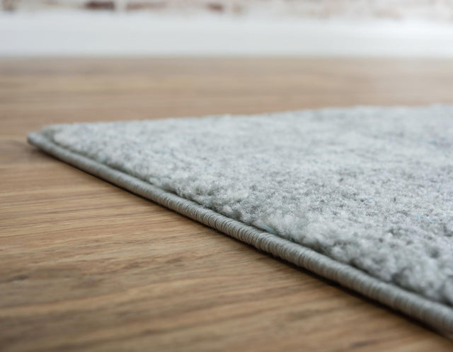 Silver 4' 1 x 6' 1 Tradition Rectangle Area Rug Traditional Classic Vintage Design Carpet for Living Room, Bedrooms, Dining, Office Space for Sale at Rug Engine