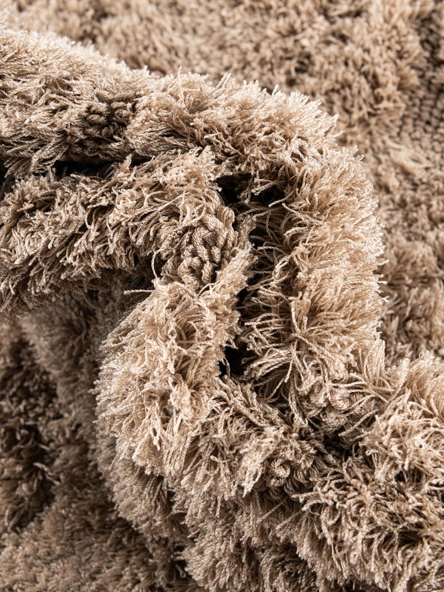 Beige 4' x 6' Floral Shag Rectangle Area Rug Thick Soft Touch Fluffy & Plush Shaggy Pile 100% Polyester With Cotton Backing Carpet for Interior Design for Sale at Rug Engine
