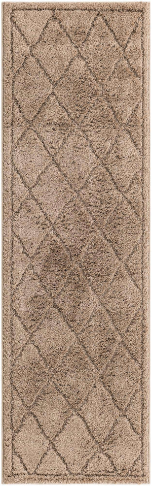 Beige 2' x 6' 9 Trellis Shag Runner Area Rug Thick Soft Touch Fluffy & Plush Shaggy Pile