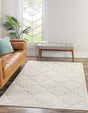 Ivory 8' x 10' Trellis Shag Rectangle Rug