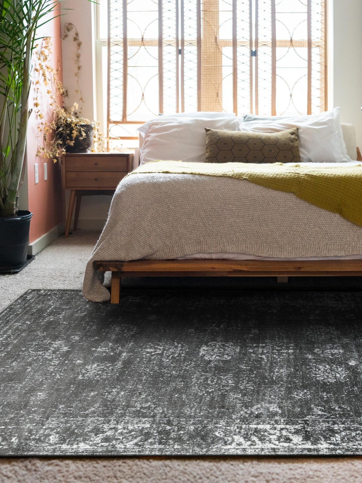 Dark Gray 5' 3 x 8' Sofia Rectangle Area Rug Discounted Clearance Final Sale