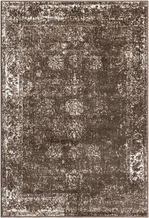 Brown 4' 1 x 6' 1 Sofia Rectangle Rug