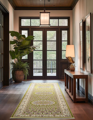 Green 3' x 13' 1 Narenj Runner Area Rug 85% Polypropylene & 15% Polyester Traditional Classic Carpet for Living, Dining, Bedrooms, Office for Sale at Rug Engine