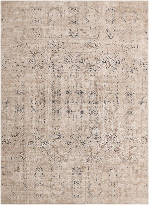 Beige 9' x 12' Chateau Rectangle Area Rug 85% Polypropylene & 15% Chenille With Cotton Backing Traditional Vintage Distressed Carpet for Classical Interior Design Decorating for Sale at Rug Engine