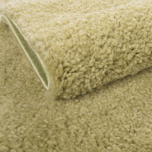 Light Green 5' 3 x 7' 7 Solo Rectangle Area Rug Thick Soft Touch Fluffy & Plush Shaggy Pile
