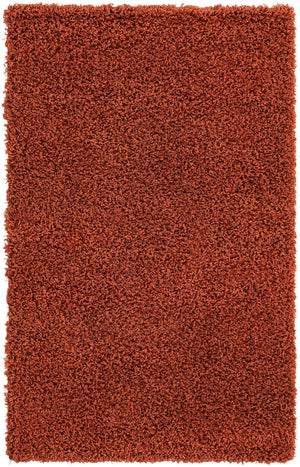 Terracotta 3' 1 x 5' 3 Solid Shag Rectangle Area Rug Thick Soft Touch Fluffy & Plush Shaggy Pile
