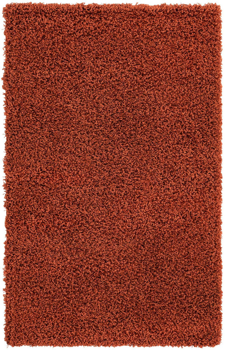 Terracotta 3' 1 x 5' 3 Solid Shag Rectangle Area Rug Thick Soft Touch Fluffy & Plush Shaggy Pile