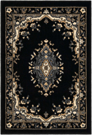 Black 2' x 3' 1 Reza Rectangle Area Rug 100% Polypropylene Easy Clean Traditional Motif Classic Carpet for Home Interiors for Sale at Rug Engine