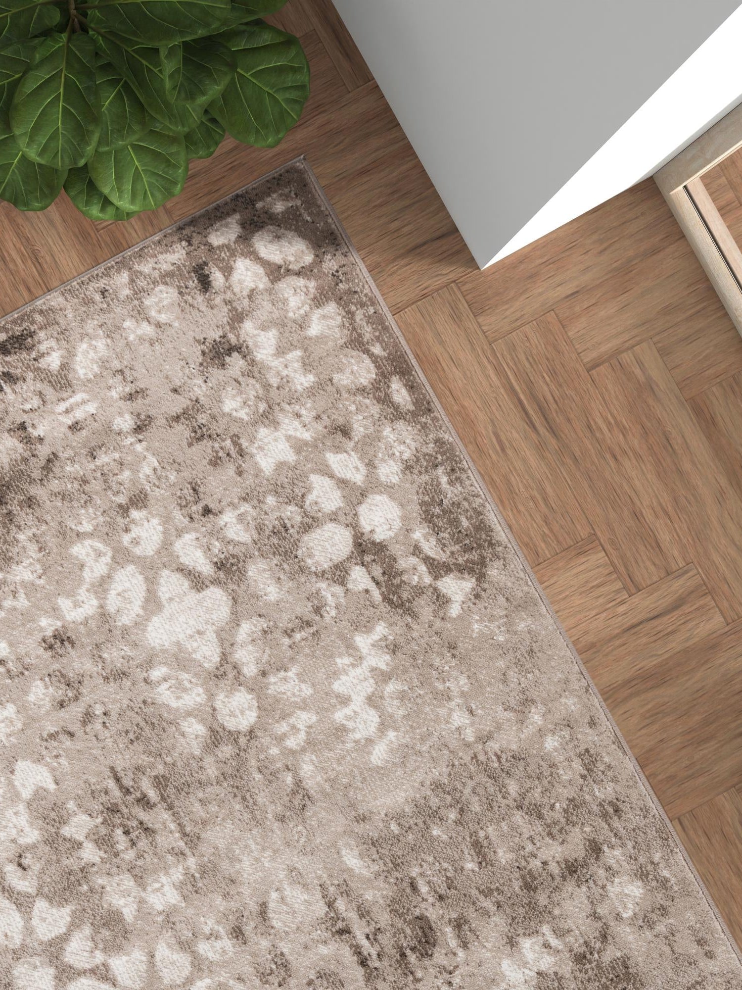 Brown 5' 3 x 8' Sofia Rectangle Area Rug Durable Easy Clean Stain Resistant Unique Carpet for Affordable Interior Home Design for Sale at Rug Engine