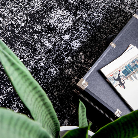 Black 3' 3 x 5' 3 Sofia Rectangle Rug