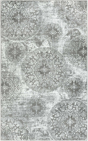 Gray 5' 3 x 8' Sofia Rectangle Area Rug Durable Easy Clean Stain Resistant Unique Carpet for Affordable Interior Home Design for Sale at Rug Engine