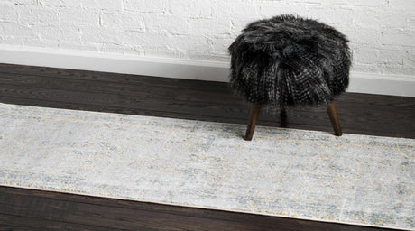 Gray 2' 7 x 10' Baracoa Runner Area Rug 100% Polypropylene Distressed Vintage Living Dining Room Office Traditional Carpet for Sale at Rug Engine