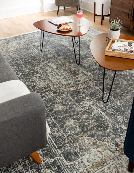 Fume Gray 7' x 10' Baracoa Rectangle Area Rug 100% Polypropylene Distressed Vintage Living Dining Room Office Traditional Carpet for Sale at Rug Engine