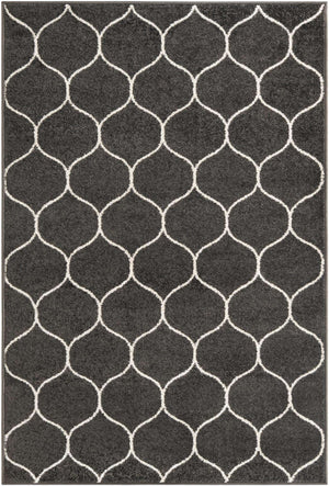 Dark Gray 4' 1 x 6' 1 Trellis Frieze Rectangle Area Rug Geometric Modern Unique Stain Resistant Easy Clean Carpet for Living, Dining, Bedrooms, Office for Sale at Rug Engine
