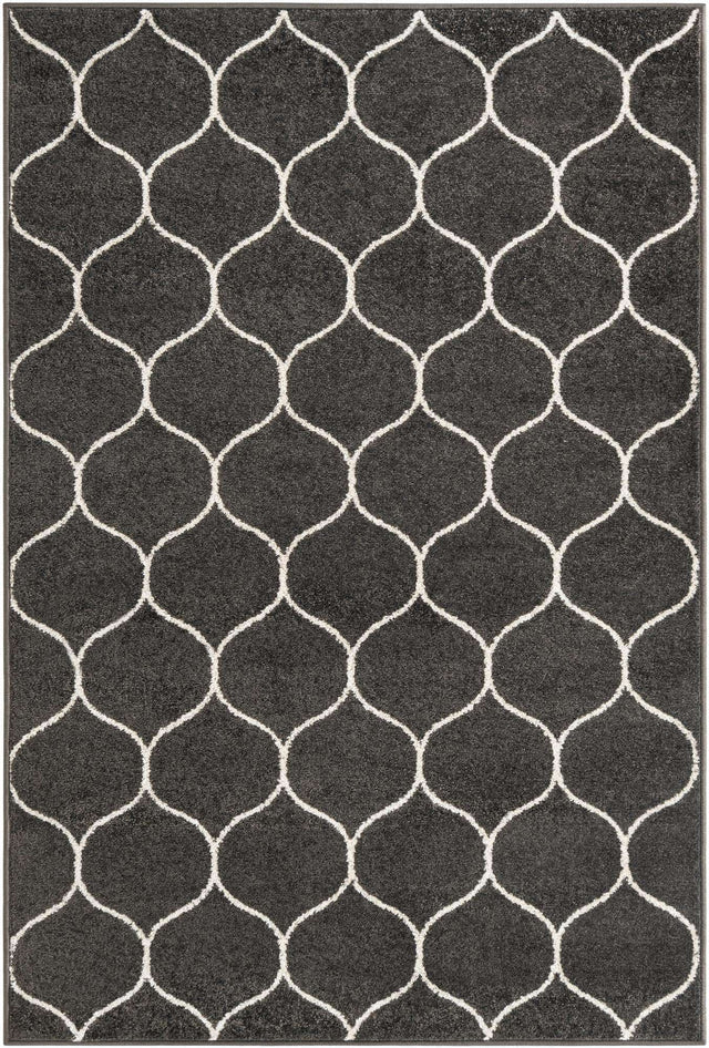 Dark Gray 4' 1 x 6' 1 Trellis Frieze Rectangle Area Rug Geometric Modern Unique Stain Resistant Easy Clean Carpet for Living, Dining, Bedrooms, Office for Sale at Rug Engine