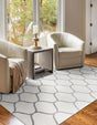 Ivory 5' 3 x 8' Trellis Frieze Rectangle Area Rug Geometric Modern Unique Stain Resistant Easy Clean Carpet for Living, Dining, Bedrooms, Office for Sale at Rug Engine