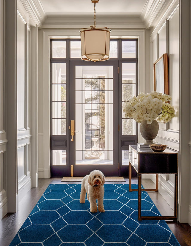 Navy Blue 10' x 13' 1 Trellis Frieze Rectangle Area Rug Geometric Modern Unique Stain Resistant Easy Clean Carpet for Living, Dining, Bedrooms, Office for Sale at Rug Engine