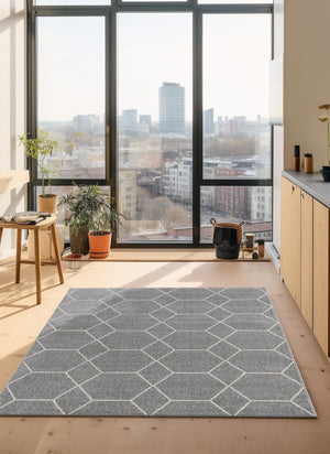 Light Gray 2' x 3' 1 Trellis Frieze Rectangle Area Rug Geometric Modern Unique Stain Resistant Easy Clean Carpet for Living, Dining, Bedrooms, Office for Sale at Rug Engine