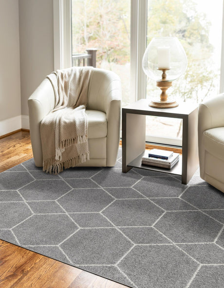 Light Gray 5' 3 x 8' Trellis Frieze Rectangle Area Rug Discounted Clearance Final Sale Geometric Modern Unique Stain Resistant Easy Clean Carpet for Living, Dining, Bedrooms, Office for Sale at Rug Engine