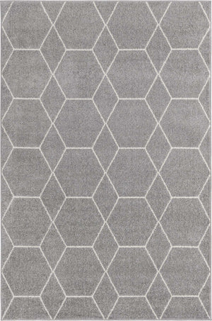 Light Gray 4' 1 x 6' 1 Trellis Frieze Rectangle Rug