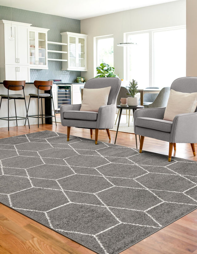 Dark Gray 10' x 14' 1 Trellis Frieze Rectangle Area Rug Geometric Modern Unique Stain Resistant Easy Clean Carpet for Living, Dining, Bedrooms, Office for Sale at Rug Engine
