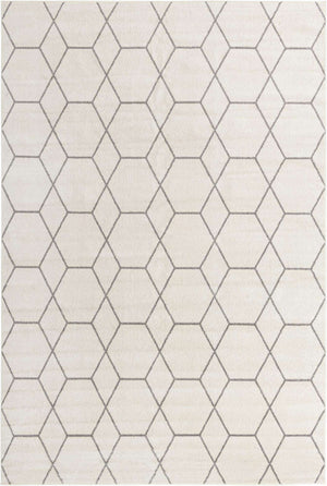 Ivory 4' 1 x 6' 1 Trellis Frieze Rectangle Area Rug Geometric Modern Unique Stain Resistant Easy Clean Carpet for Living, Dining, Bedrooms, Office for Sale at Rug Engine
