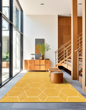 Yellow 4' 1 x 6' 1 Trellis Frieze Rectangle Area Rug Geometric Modern Unique Stain Resistant Easy Clean Carpet for Living, Dining, Bedrooms, Office for Sale at Rug Engine