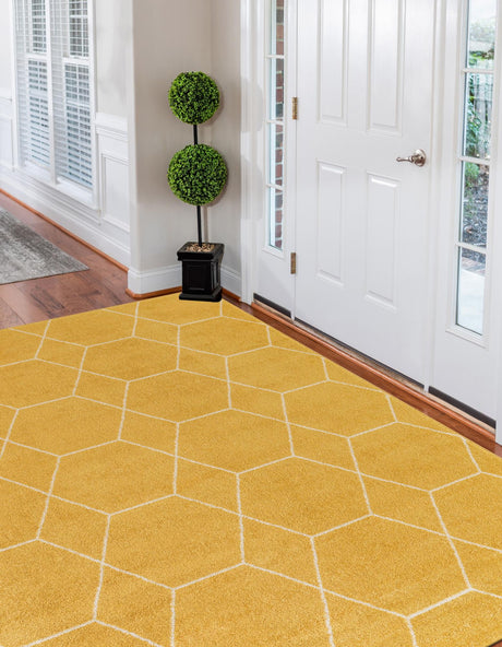 Yellow 4' 1 x 6' 1 Trellis Frieze Rectangle Area Rug Geometric Modern Unique Stain Resistant Easy Clean Carpet for Living, Dining, Bedrooms, Office for Sale at Rug Engine